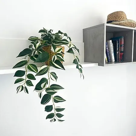 Shining Loft At Park Golf San Miguel de Abona