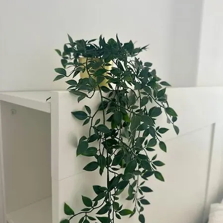 Shining Loft At Park Golf شقة سان ميغيل ذي أبونا