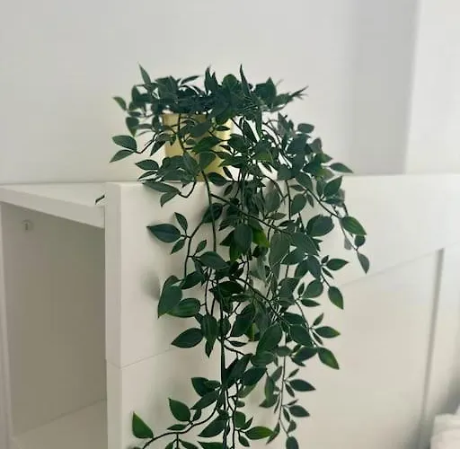 Shining Loft At Park Golf Daire San Miguel de Abona