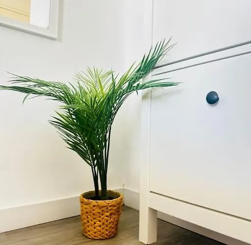 Shining Loft At Park Golf *