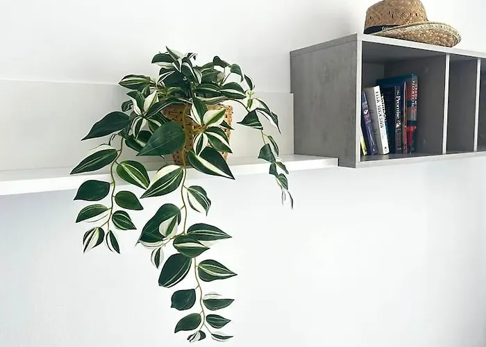 Shining Loft At Park Golf San Miguel de Abona