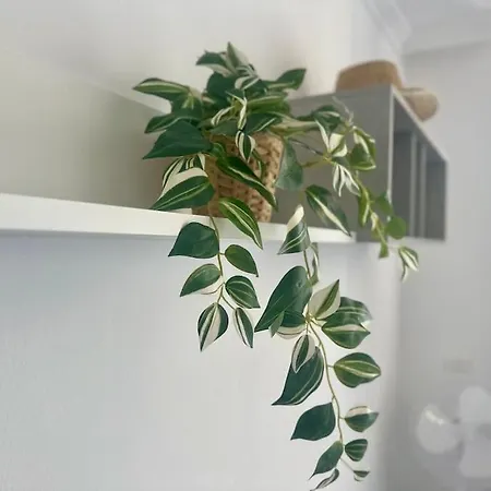 Appartement Shining Loft At Park Golf *