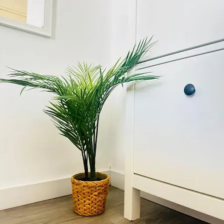 Shining Loft At Park Golf *